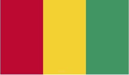 Aufkleber "Guinea Flagge" 150x90