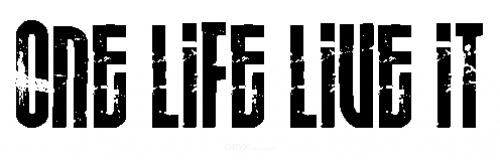 Aufkleber "ONE LIFE LIVE IT" braun